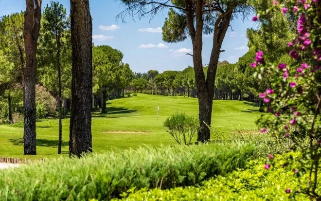 Cornelia Faldo Course