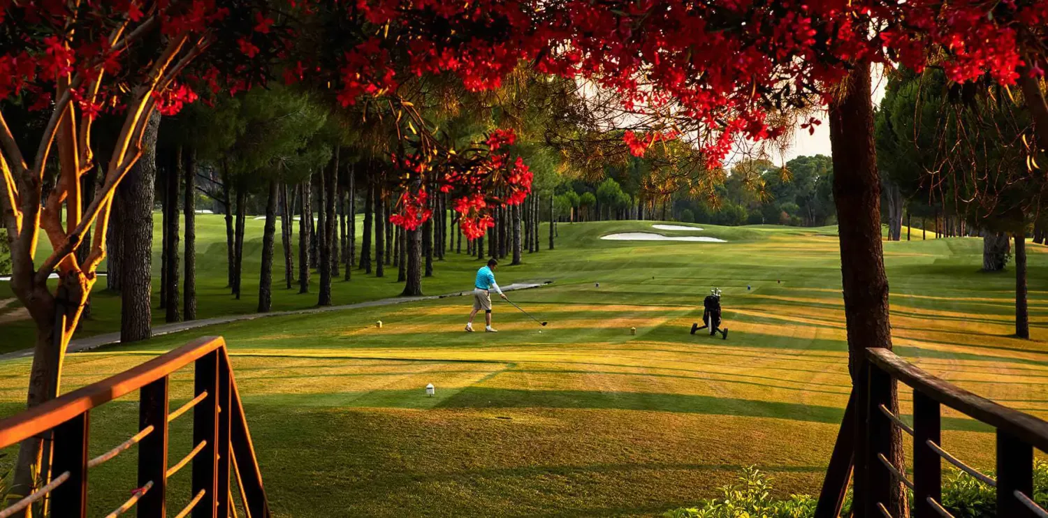 Gloria New Course · The New Course landscape